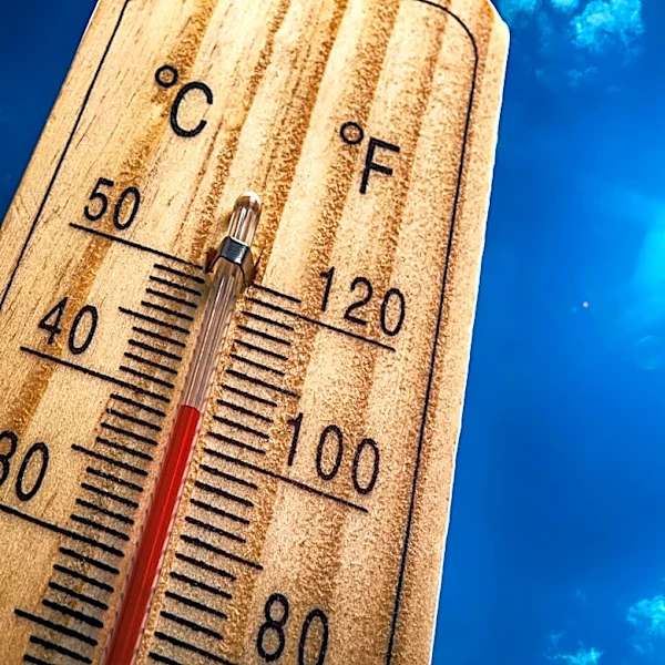 Parents accused of being intoxicated and walking kids in Arizona heat