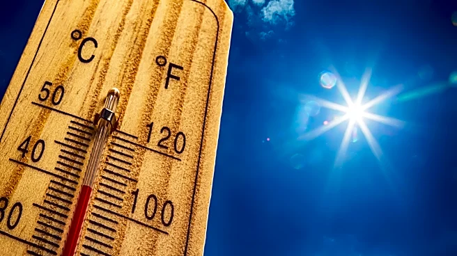 Parents accused of being intoxicated and walking kids in Arizona heat