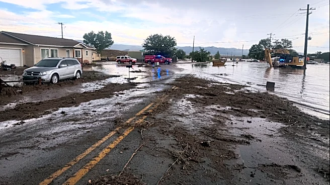 Heavy rain is possible in metro Phoenix. Here's the forecast