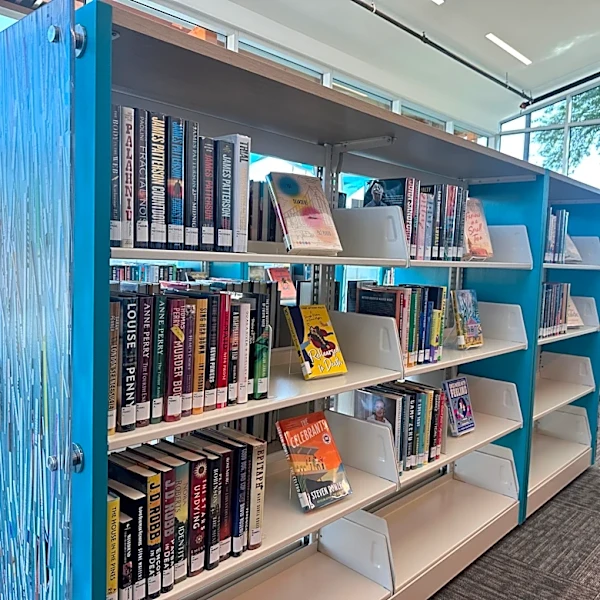 Homeless couple accused of selling stolen library books in Mesa