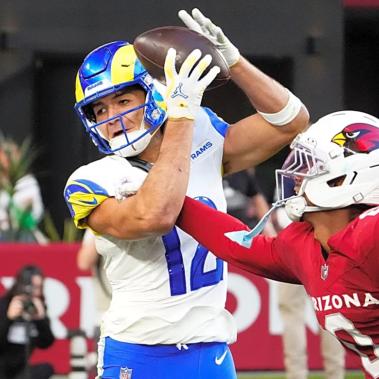 Cardinals rival WR injured with glass-door run in