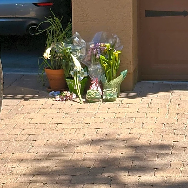 AZ parents tried to help their son, but things got hard. They later died