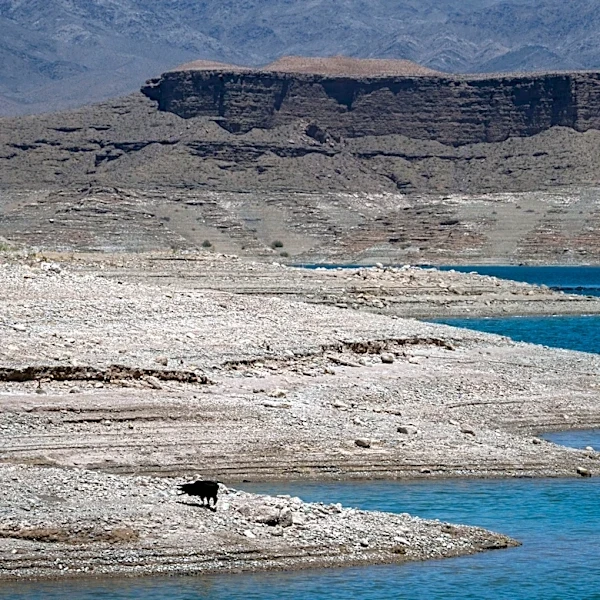 Feds release Colorado River plan. Here's how much Arizona will lose