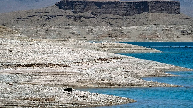 Feds release Colorado River plan. Here's how much Arizona will lose