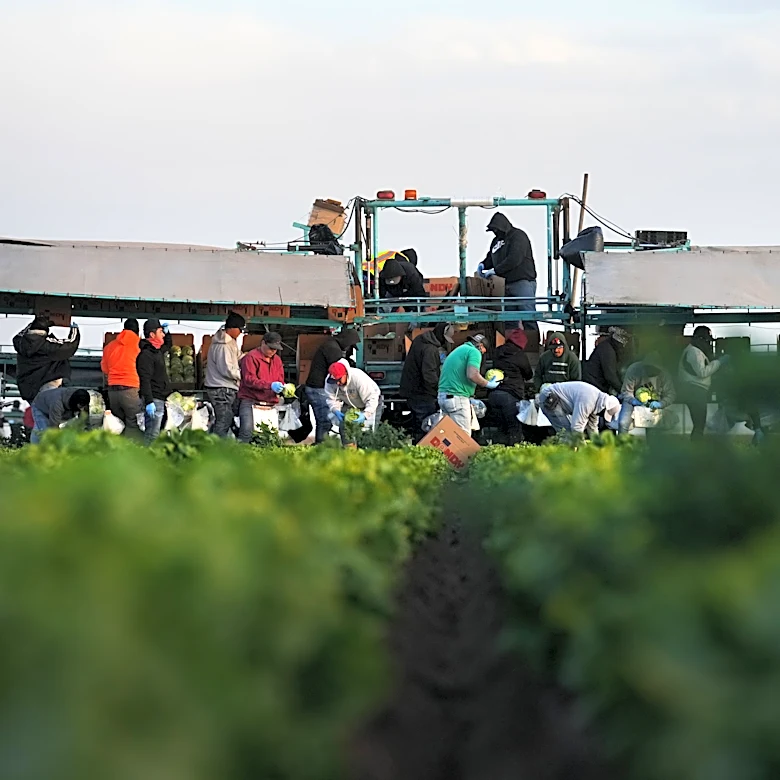 Arizona marks Farmworkers Day 60 years after UFW founding