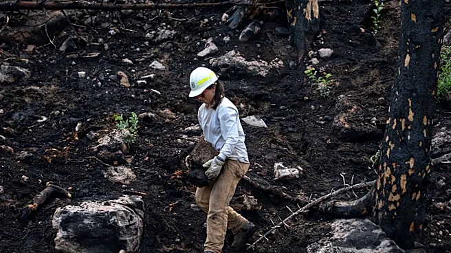 The race is on to restore a spring-fed creek torched by Dragon Bravo