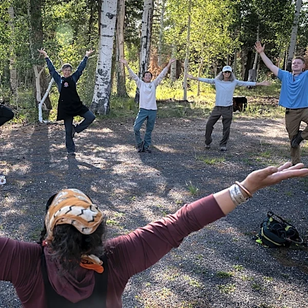 At the Grand Canyon, volunteers plant seedlings in fire-charred forest