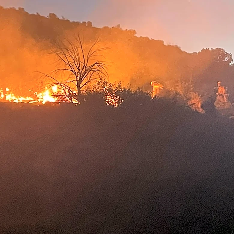 Arizona wildland firefighter dies while battling a blaze in New Mexico