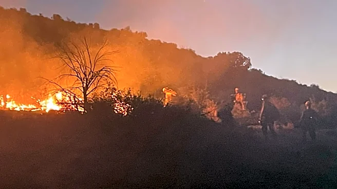 Arizona wildland firefighter dies while battling a blaze in New Mexico