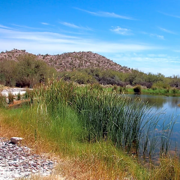 Masked agents enter Tohono O'odham lands to start wall construction