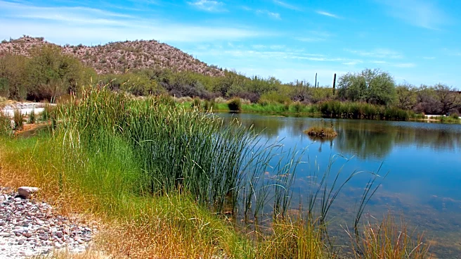 Masked agents enter Tohono O'odham lands to start wall construction