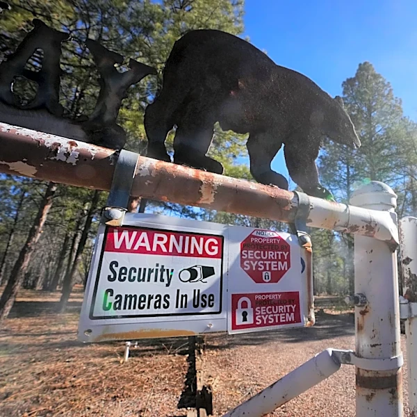 Bullet in Pinetop woman's killing came from outside home, autopsy says