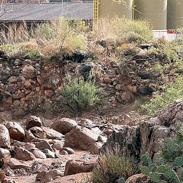 Arizona Rep. David Schweikert recounts witnessing Grand Canyon flood