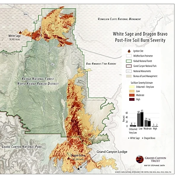 Burned area at Grand Canyon wasn't a major cause of flood, experts say
