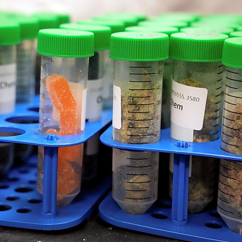 Cannabis testing lab kept breaking rules after major Arizona fine