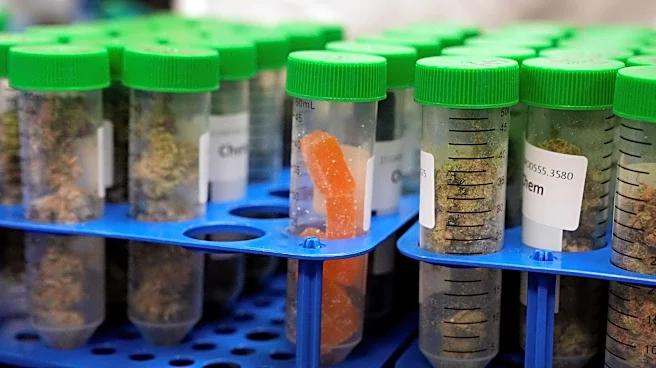 Cannabis testing lab kept breaking rules after major Arizona fine