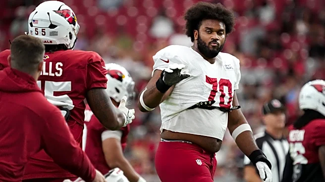 Arizona Cardinals players rank their Top 5 in NFL at their positions