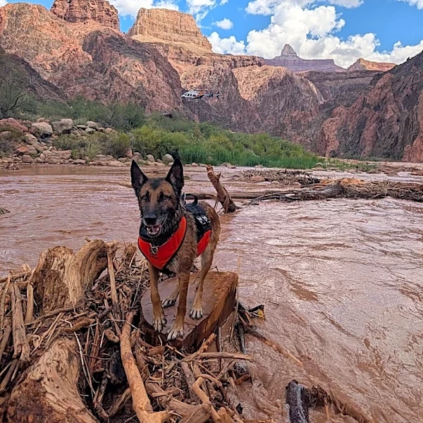 Grand Canyon water restrictions in place as hiker search continues