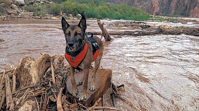 Grand Canyon water restrictions in place as hiker search continues