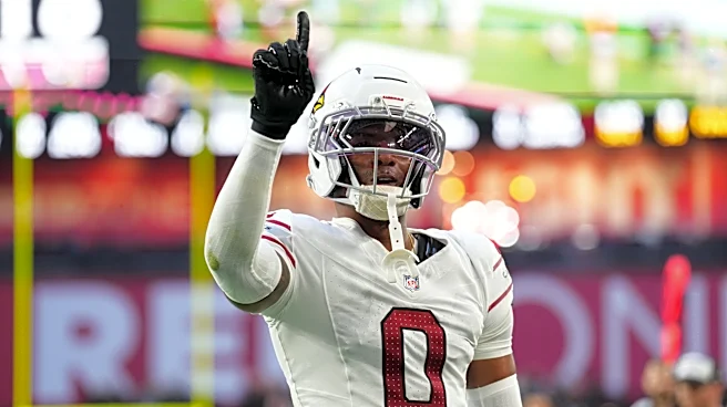 In Year 2, Arizona Cardinals need Will Johnson to become a star