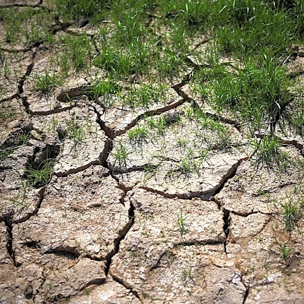 Desert growth needs desert rules | Letters