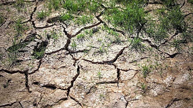Desert growth needs desert rules | Letters
