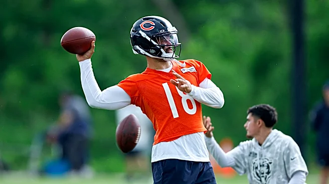 Panthers vs Bears predictions, picks, odds for NFL Week 1 game Sunday