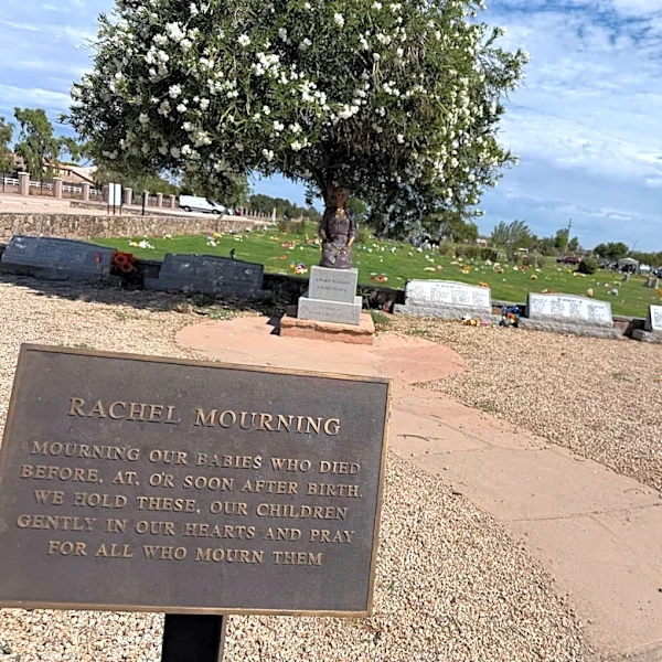 Cemeteries of the unborn: The grave many mothers never knew existed