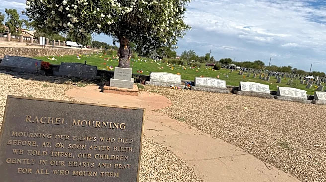 Cemeteries of the unborn: The grave many mothers never knew existed