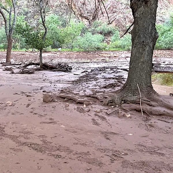 Discovery of human remains confirmed near Grand Canyon, officials say