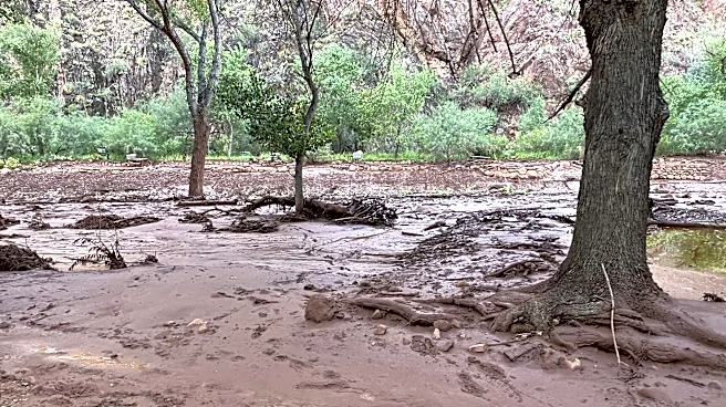 Discovery of human remains confirmed near Grand Canyon, officials say