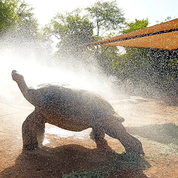 Phoenix Zoo faces backlash after policy change. Why they did it