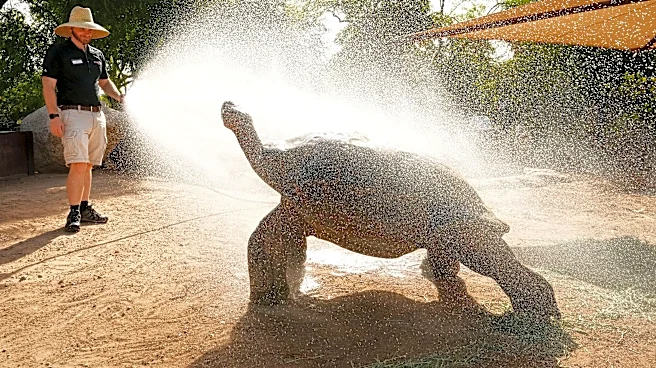 Phoenix Zoo faces backlash after policy change. Why they did it