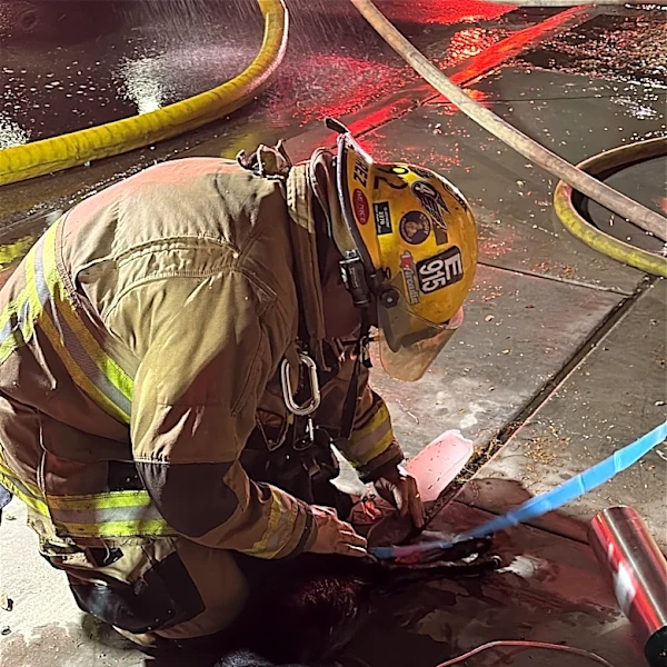 2 dogs rescued from house fire in southwest Phoenix