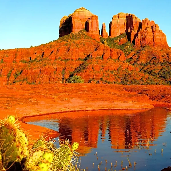 These Arizona cities were named top places to live in 2026. See why