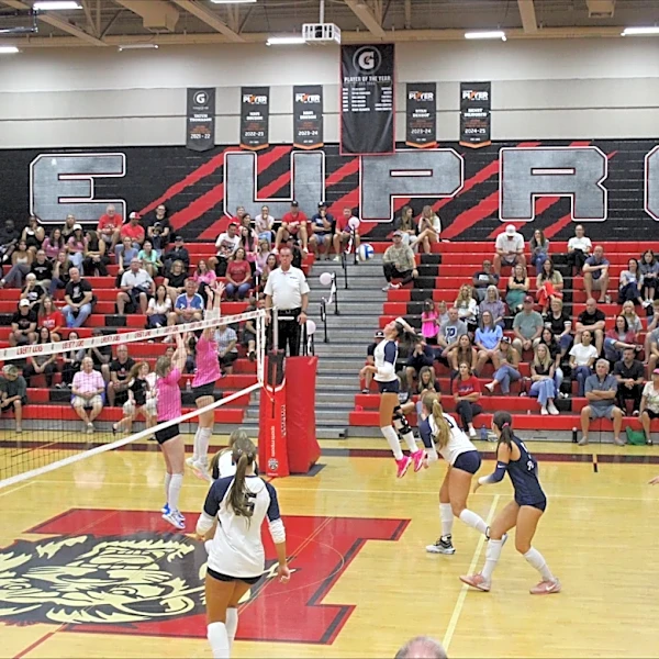 Top-ranked Liberty drops Pinnacle in girls volleyball