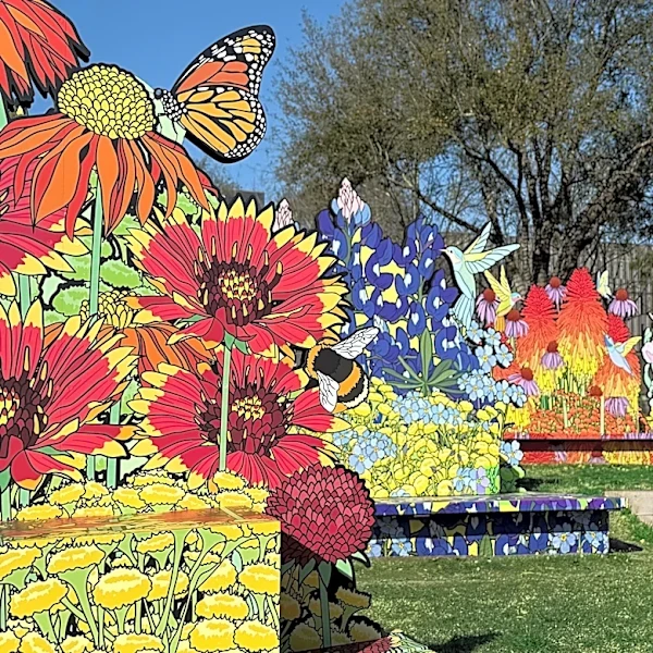Why giant, colorful flower art is taking over Desert Botanical Garden