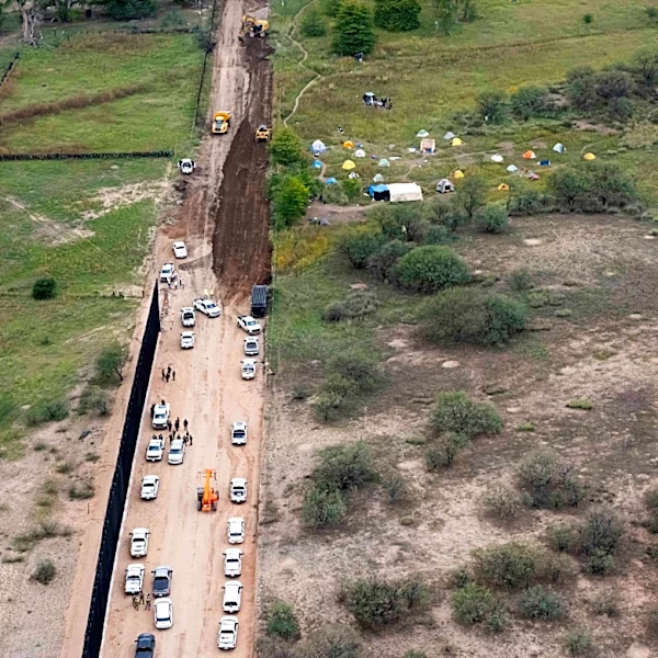 Protester vows to stay in ancient tree at US-Mexico border