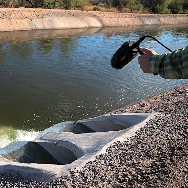 Phoenix-area city ensures their water is 'all clear' after worries