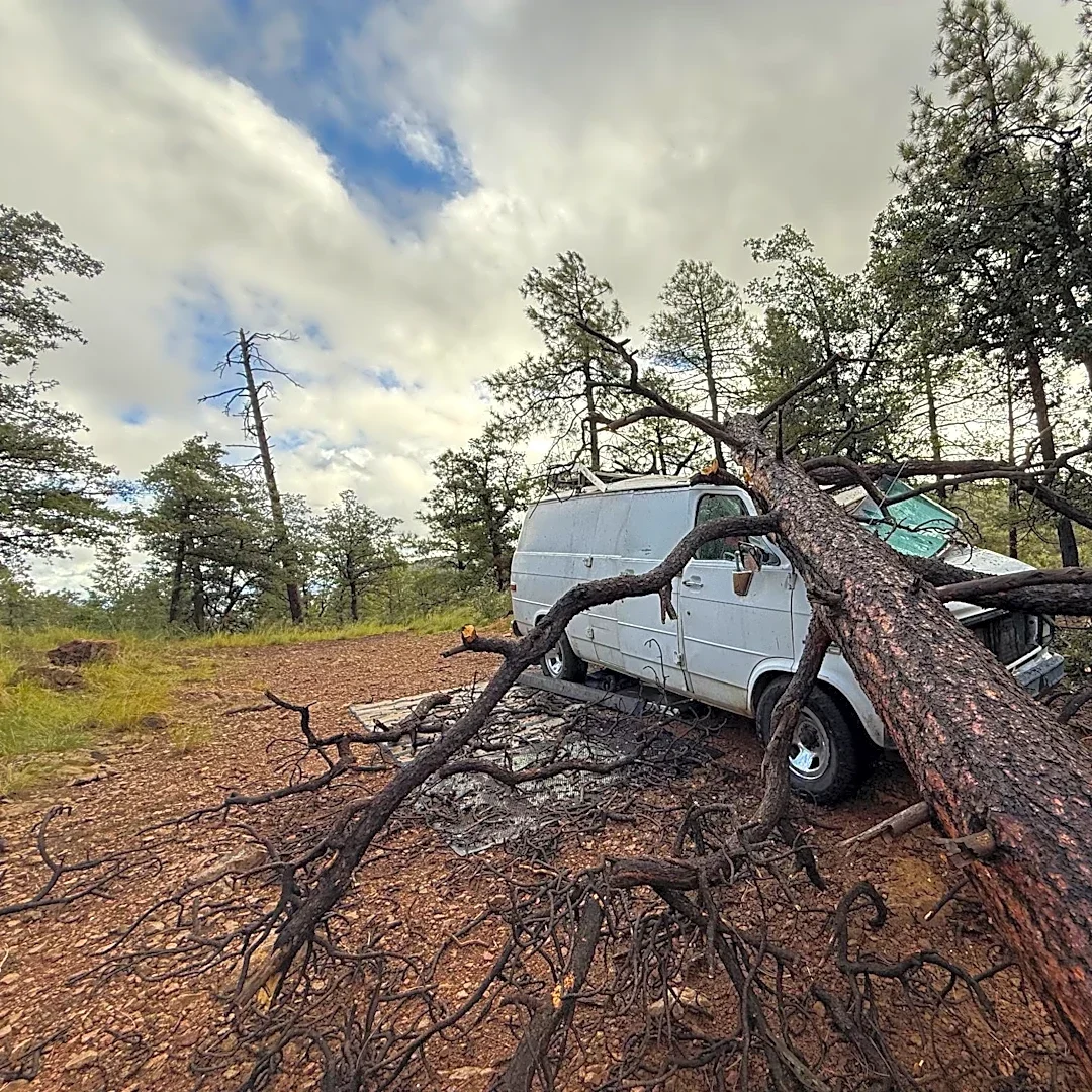 Man and dog escape injury after tree crushes van near Prescott
