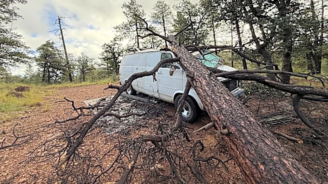 Man and dog escape injury after tree crushes van near Prescott