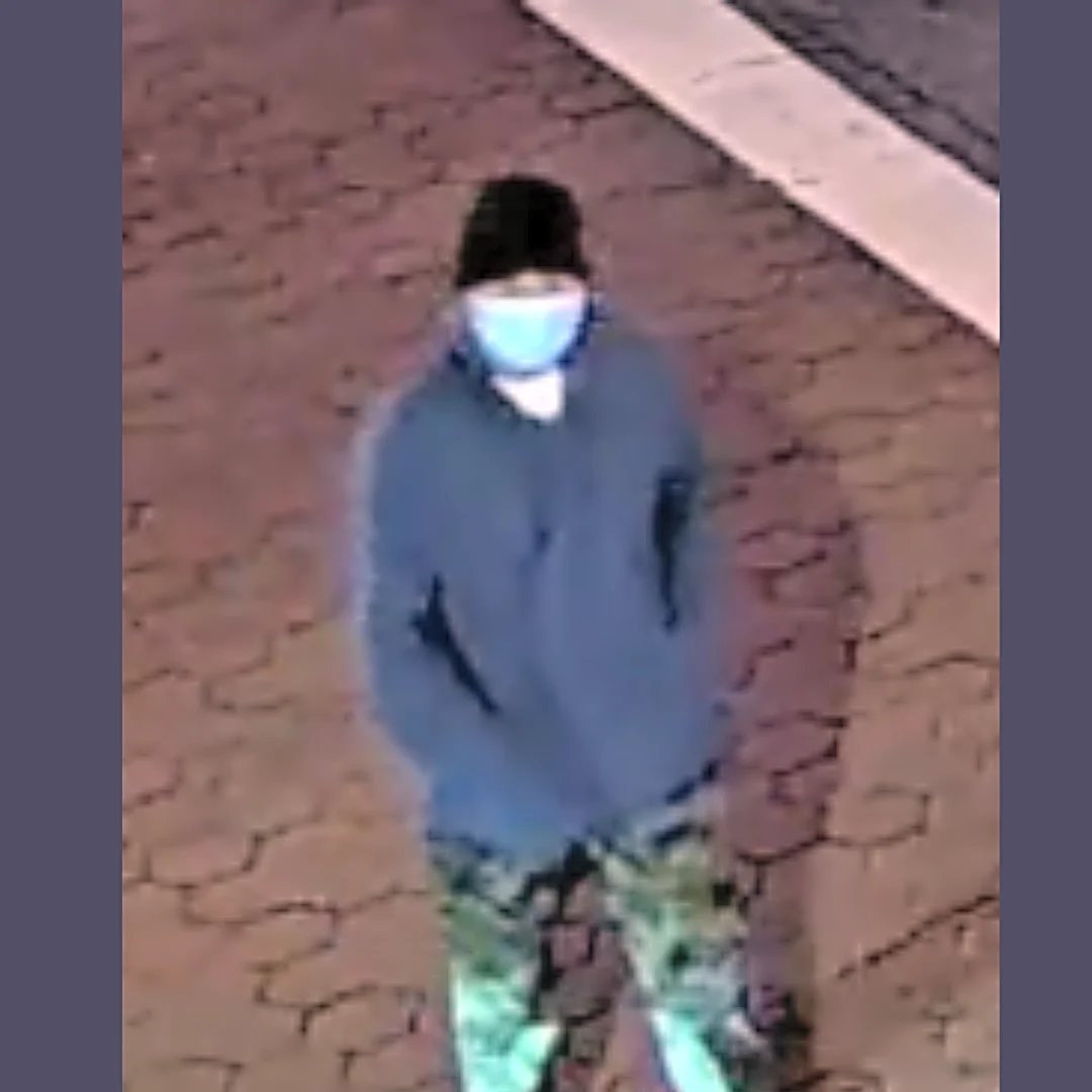 This person took jewelry from an Arizona shop. Recognize them?