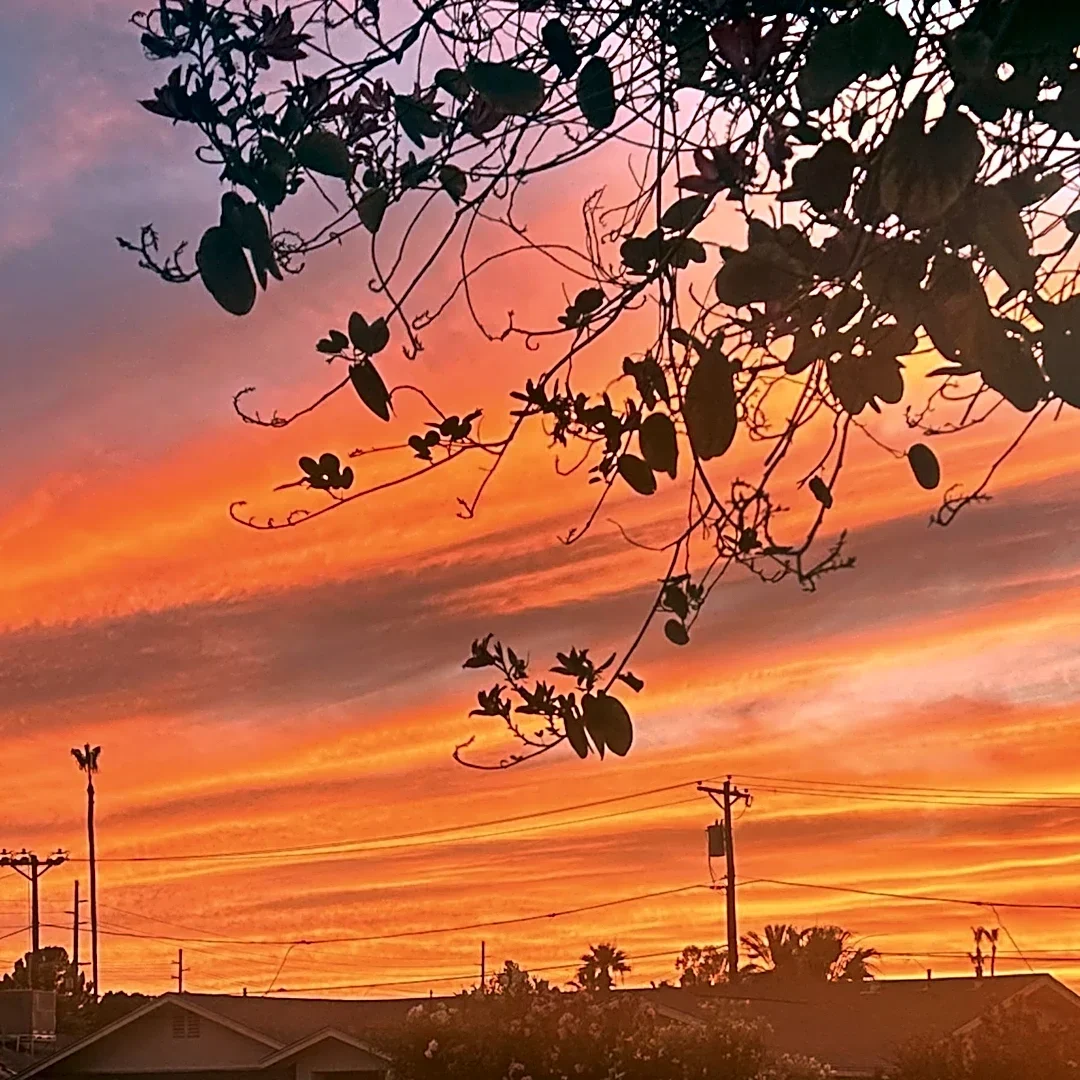 Neighbors took $7,500 for the land. Can they refuse to sell?
