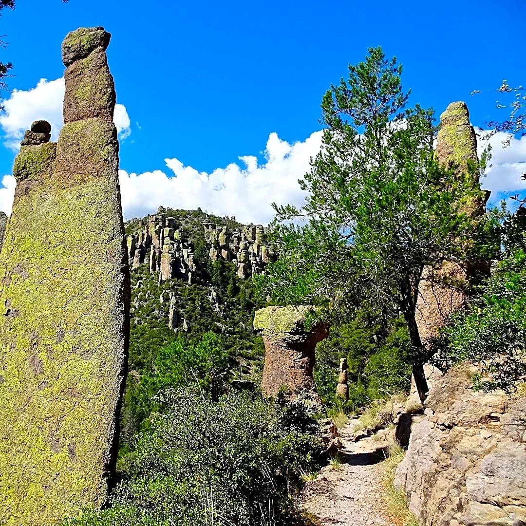Arizona hidden gem officially named state's 4th national park