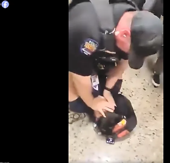 Police clear Avondale officer, request prosecution of student after altercation