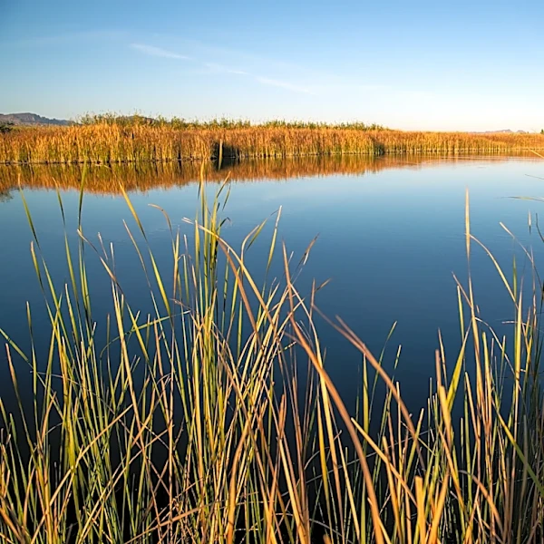 Tribes weigh legal action against feds over Colorado River cutbacks