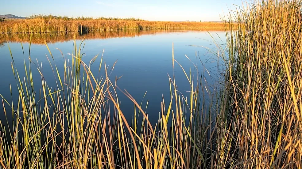 Tribes weigh legal action against feds over Colorado River cutbacks