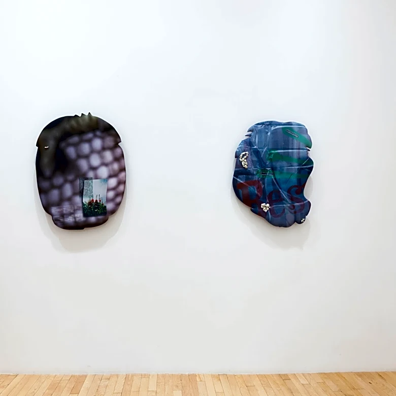 How Former Fashion Designer Emma Safir Turns Fabric into Beguiling Paintings