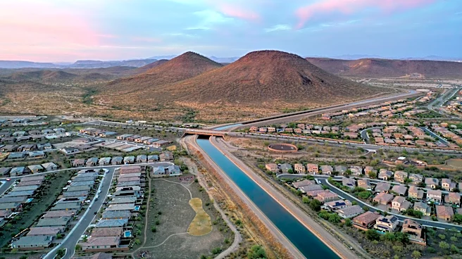 Phoenix Probably Shouldn’t Exist. But Eric Fischl and Frank Lloyd Wright Make It Feel Like the Future