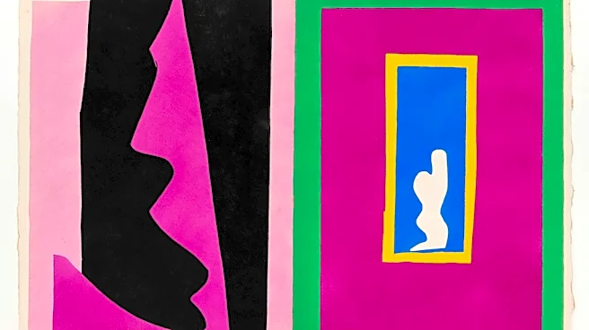 Brazilian Police Believe They Have Identified Architect of Matisse Theft at Biblioteca Mário de Andrade